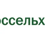 Россельхозбанк Брокер: стоит ли инвестировать с государственным гигантом?